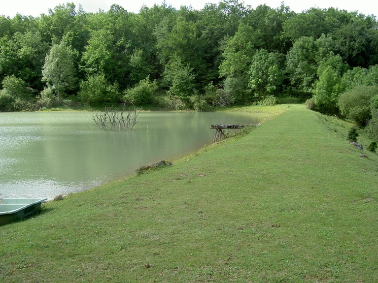 Tranquility and relaxation at the waterside
